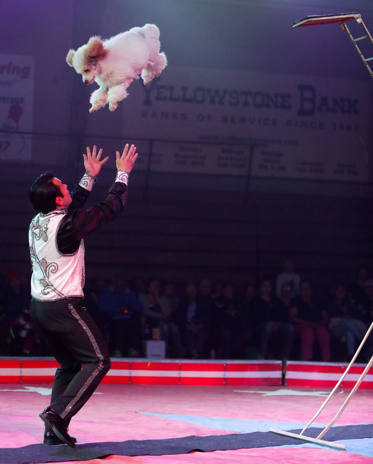 Al Bedoo Shrine Circus